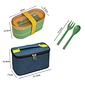 lunch box spoon and fork